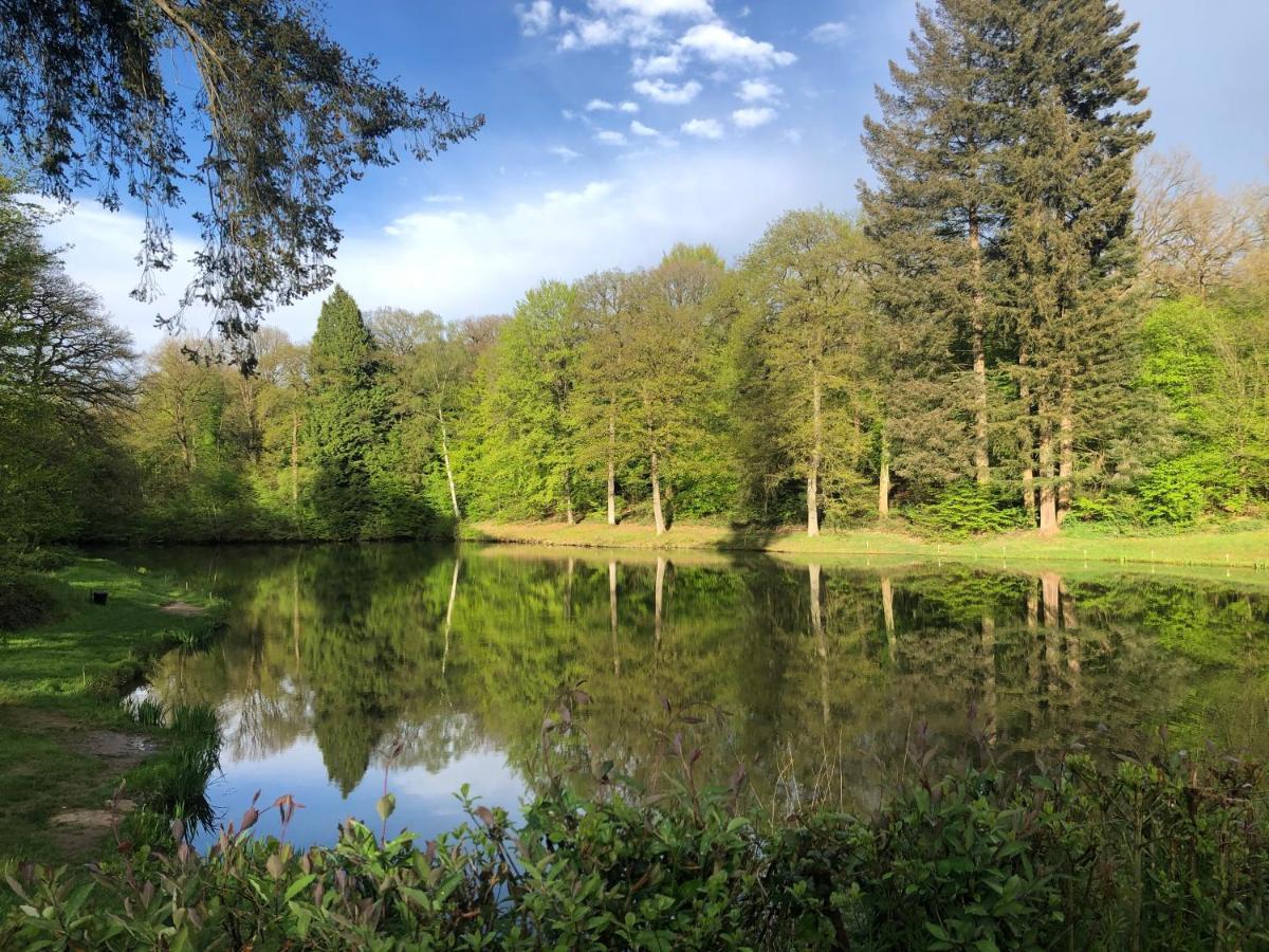 Le Temps D'Un Souffle - Gite Rural 3 Epis Sivry-Rance Buitenkant foto